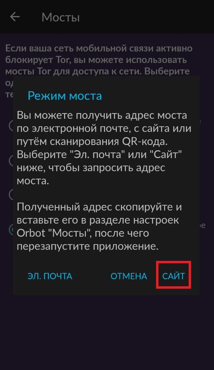 Официальный сайт даркнета