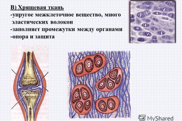 Ссылка на кракен тор браузер